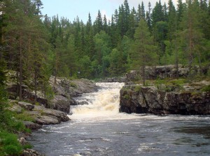 Utflykt till en fors strax norr om Idre